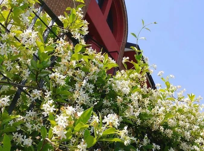 Le Volte Aparthotel 3*